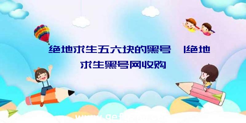 「绝地求生五六块的黑号」|绝地求生黑号网收购